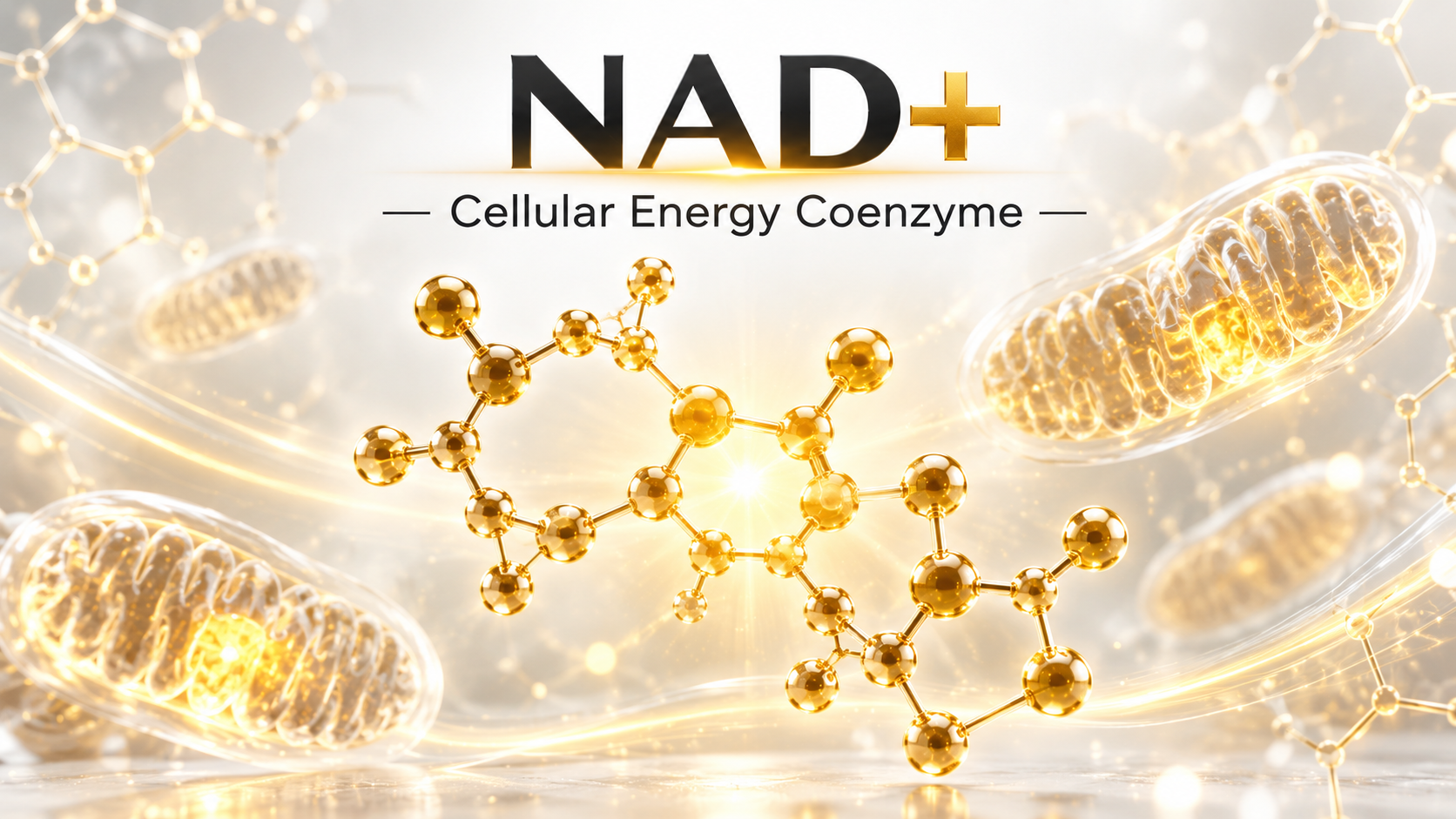 NAD+ Explained: The Coenzyme Behind Cellular Energy, DNA Repair, and Healthy Ageing nad+ explained the coenzyme behind cellular energy, dna repair, and healthy ageing